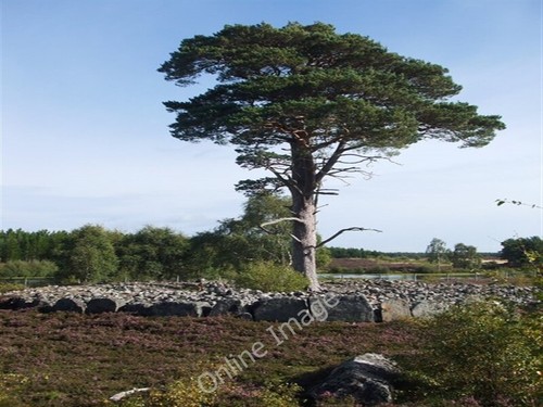 Photo 6x4 granish ring cairn - photo,