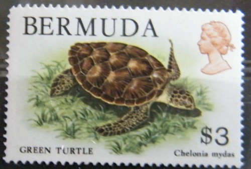 Mz121 bermuda 1978 - mz121, tartaruga