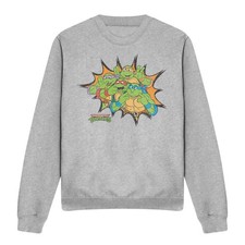 Teenage Mutant Ninja Turtles