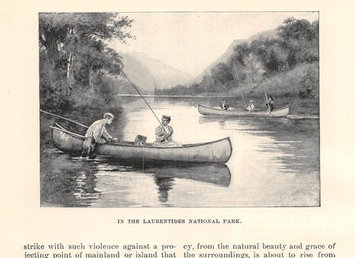 1896 ouananiche trota jacques - 1896,