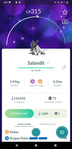 Salandit maschio lucido - ✨,