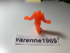 EXOGINI TESTA DI STELLA