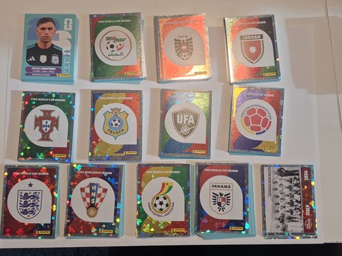 Panini fifa world - panini,