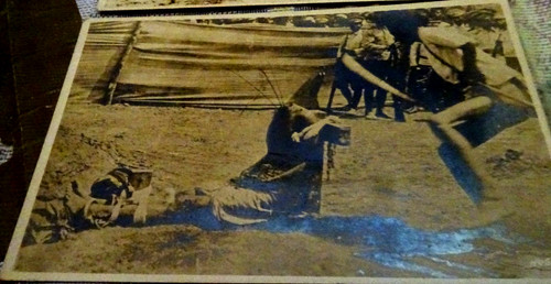 Cart una esecuzione - cart.,