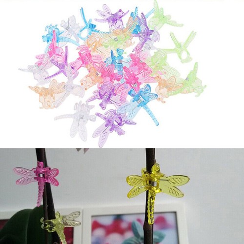 30pcs libellula orchidea clip - 30pcs,