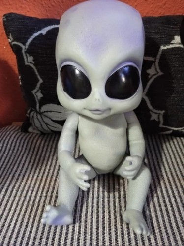 Realistic reborn baby doll - reborn,