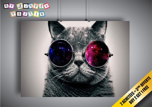 Locandina gatto con occhiali - gatto,