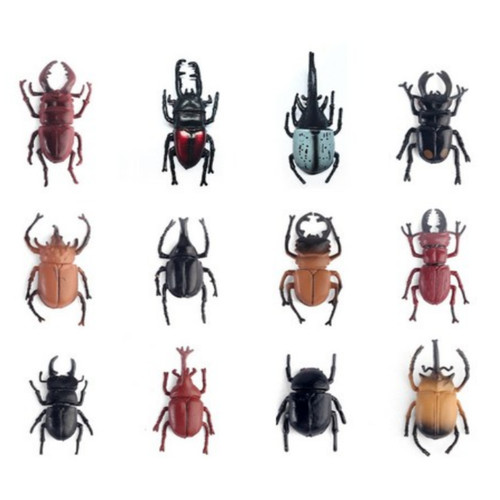 Rhinoceros beetle 6 set - 6,