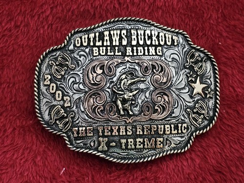 Bull riding - bull,