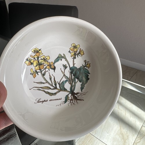 Villeroy boch botanica - villeroy,