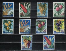 FRUTTA E PRODOTTI AGRICOLI  -