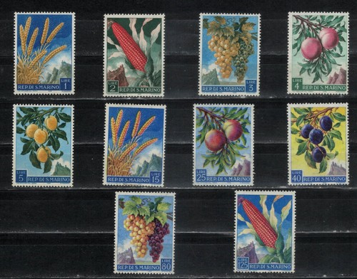 Frutta prodotti agricoli - prodotti,