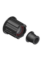 CORPETTO DT SWISS RATCHET PER