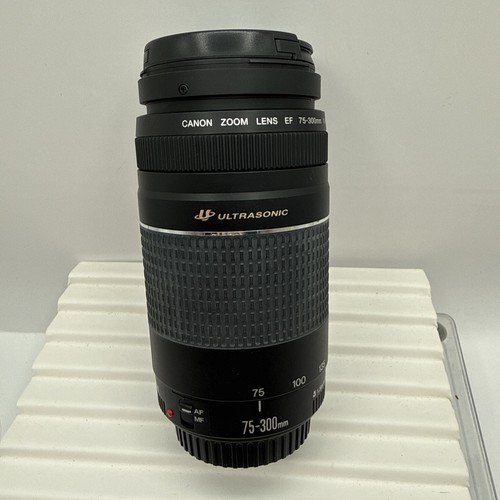 Canon 300 4 5 6 - canon, is