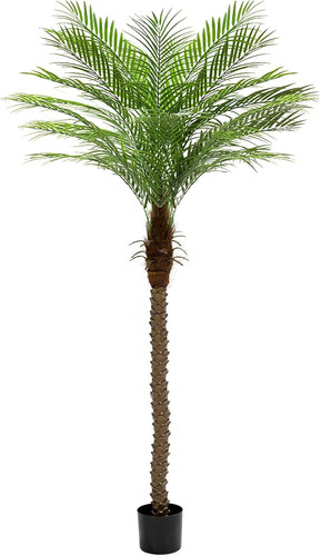 210cm artificial phoenix palm - phoenix,