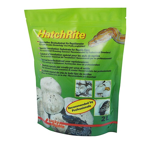 Lucky reptile hatchrite - lucky,