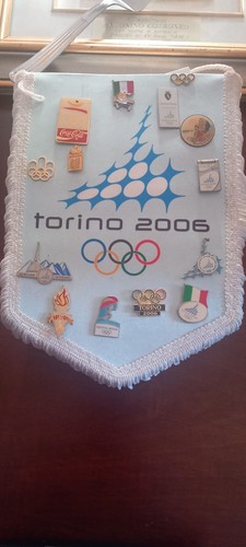 Gagliardetto spille - e,