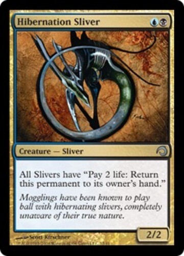 Hibernation sliver foil - sliver,