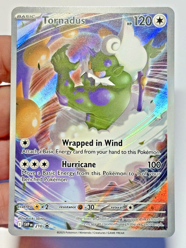 Carta tornadus 210 black - carta, star
