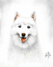 ✿ Dipinto ORIGINALE olio