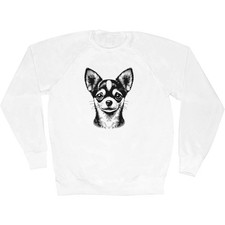 Felpa / maglione / maglione