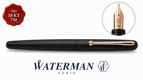 Waterman penna stilografica - penna,