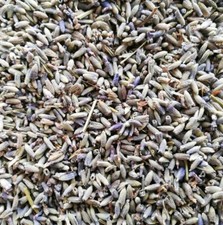 Fiori di lavanda essiccati