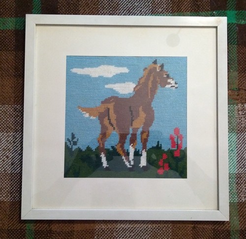 Quadro con cavallino - quadro, prato
