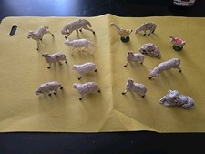 Gregge pecore e animali per