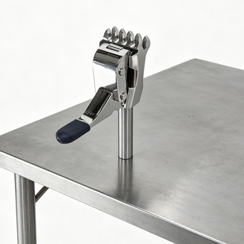 Denti fissaggio stabile - a,