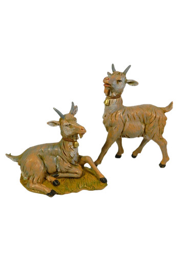 Capra fontanini per - capra,