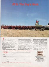 BBU Beefmasters Original 1991