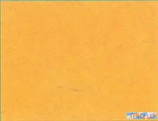 CARTONAGGIO SCRAPBOOK - 1