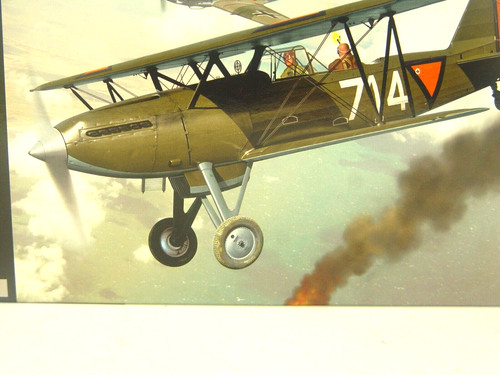 Fokker kestrelengine - c.x,