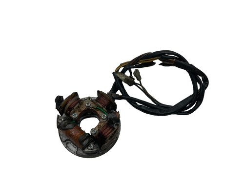 Statore alternatore magnete - statore,