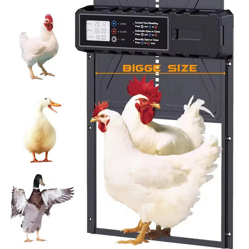 Porta automatica per pollaio - porta,