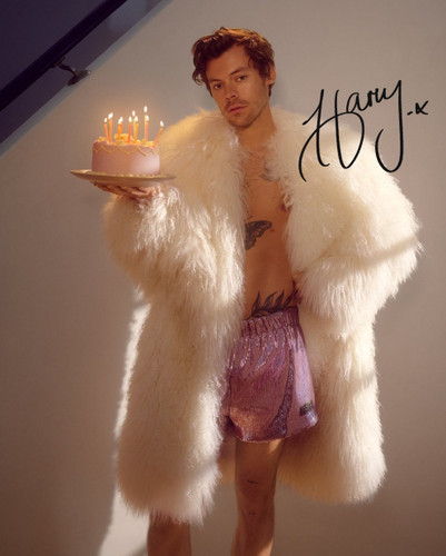 Harry styles ristampa - harry,