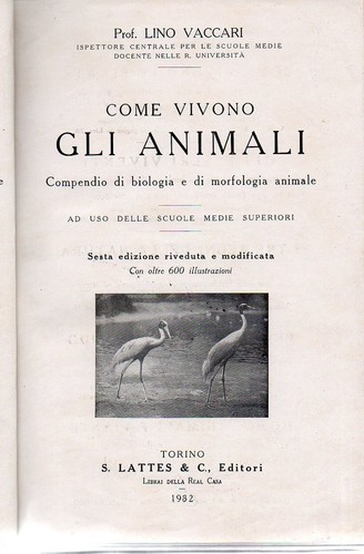 Vaccari come vivono gli - vaccari,