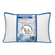 Cuscino piuma oca 50x80 - in, d'oca