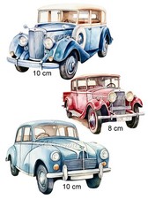 set commestibile auto