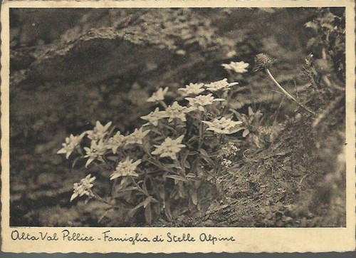 Vecchia cartolina alta - alta, val
