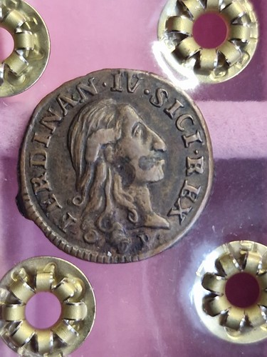 Cavalli del 1789 regno di - 3,