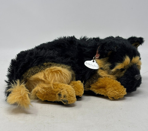 Perfetto petzzz pastore - perfetto,