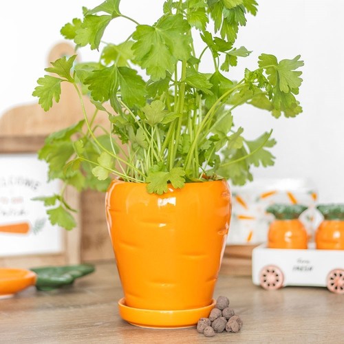 Piattino piccolo vaso per
