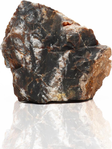 Roccia petrified - -,