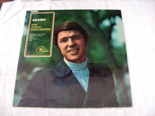 Disco vinile giri - disco,
