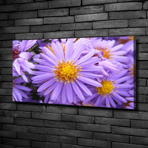 Tulup dipinto tela pittura - tulup, su