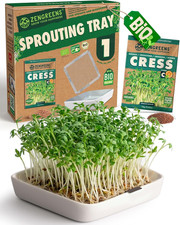 Vassoio per Germogli Bio - Set