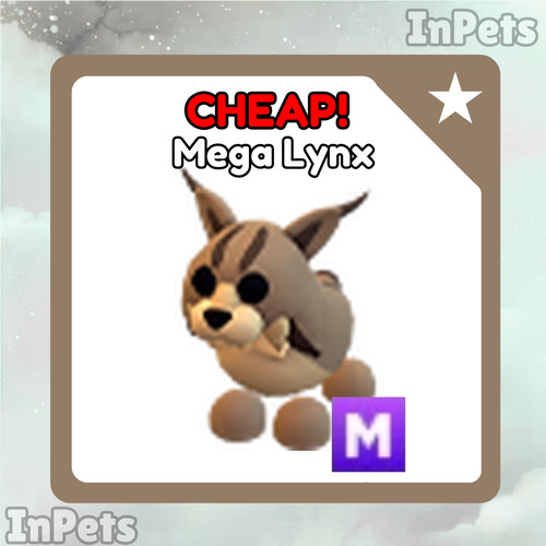Mega lynx adottami - mega, |