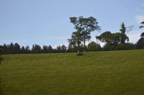 Photo 6x4 slope - above, malt